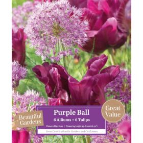 Allium & Tulip Purple Ball Mix - 6 Allium & 6 Tulip Bulbs